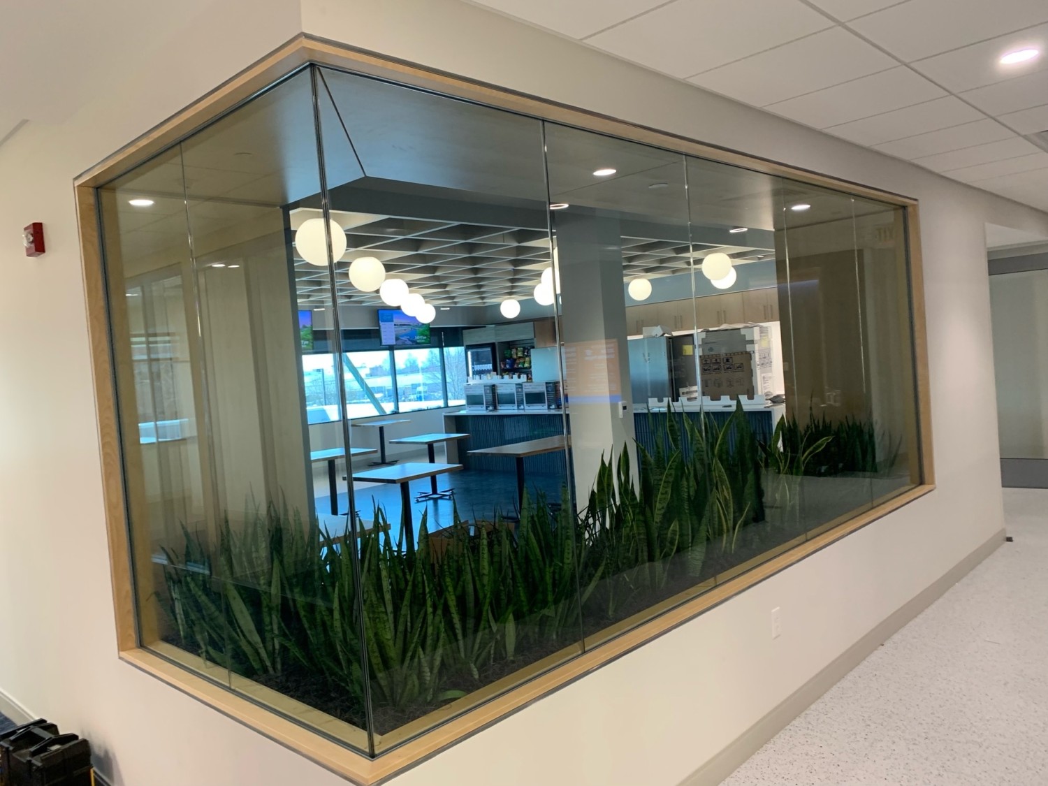 RDI – ReceiveDeliverInstall interior installation with glass wall, built-in planter, and modern office breakroom design.